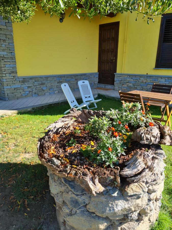 Alla Damigiana Sant'Ambrogio di Torino Zewnętrze zdjęcie